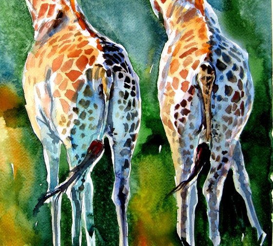 Giraffes on the field