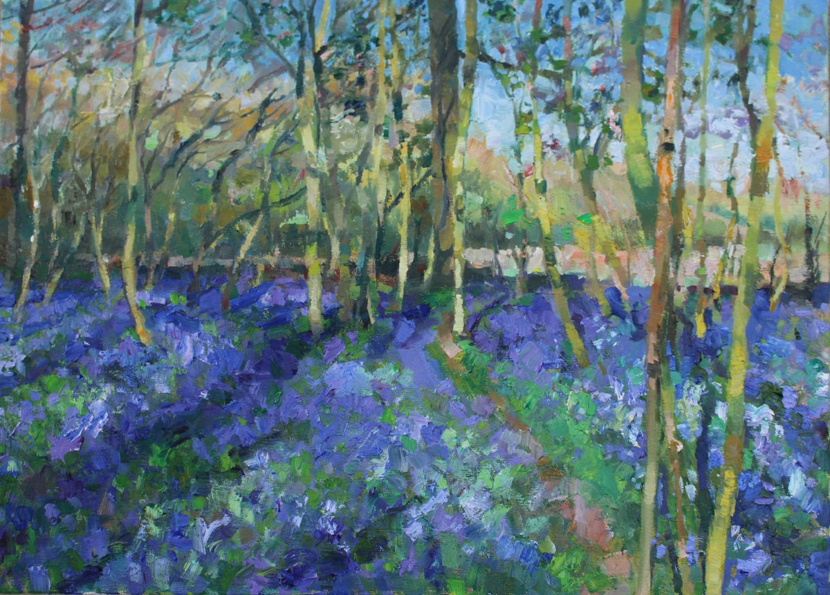 Bluebell woods in the Chiltern hills by Christian Twelftree