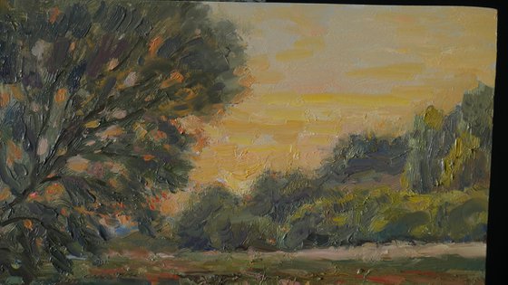 Sunset - summer landscape painting
