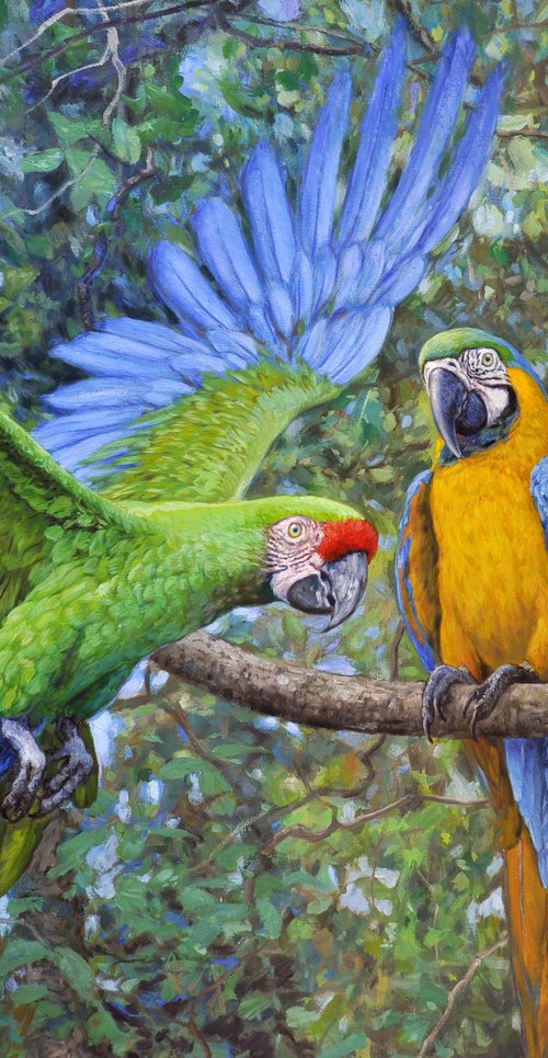 Happy in the paradise by Gabriel Hermida