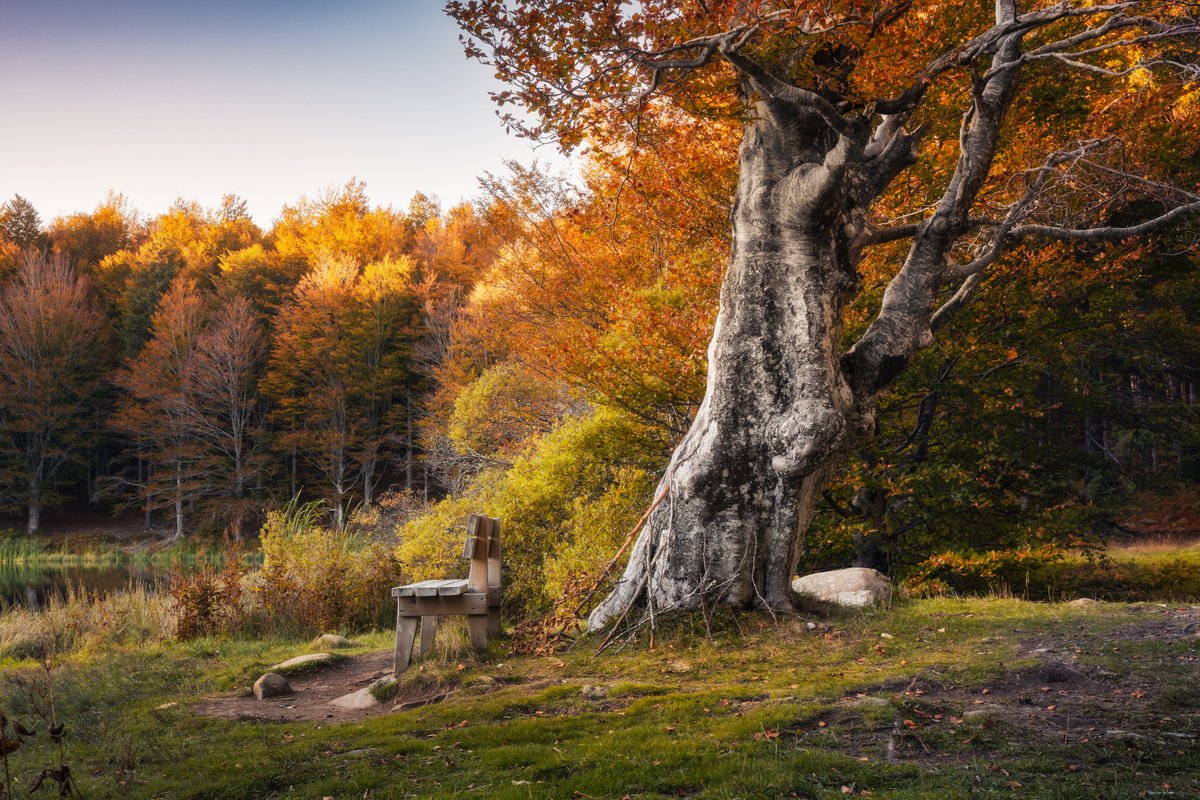 Photorealistic Landscape Photograph By Giovanni Laudicina, 30 X 20, The Bench On The Lake, Original Artwork