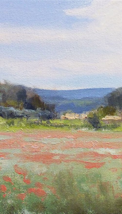 Poppies Field near Forcalquier by Pascal Giroud