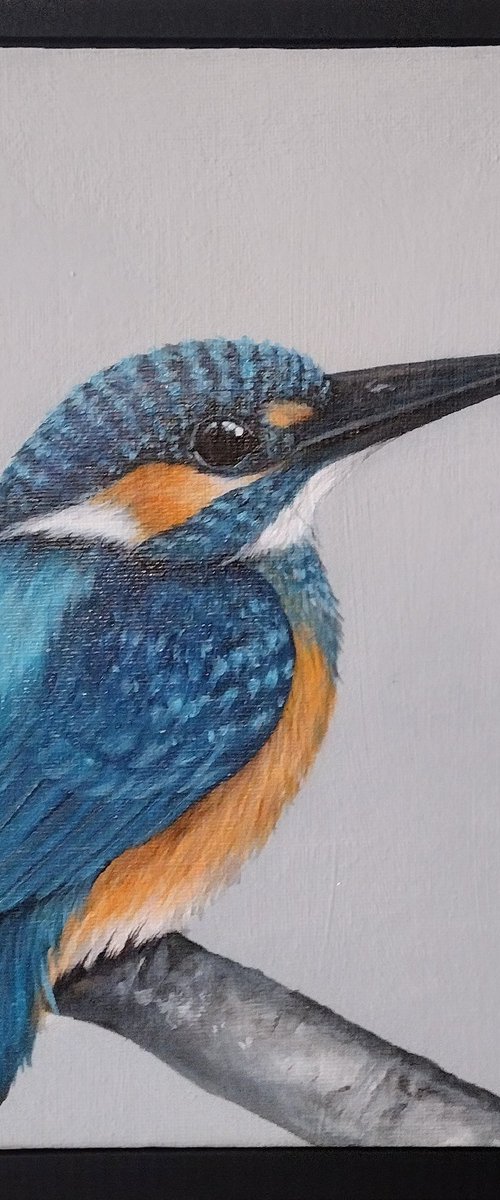 Kingfisher by Sara Westaway