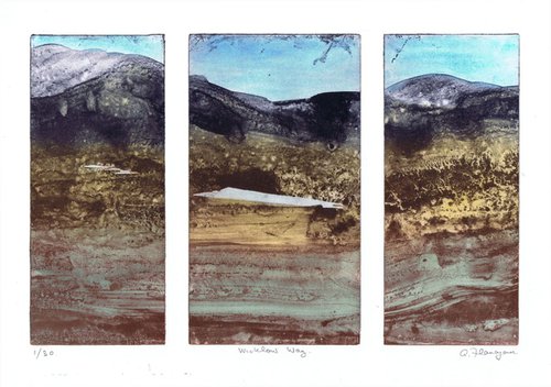Wicklow Way by Aidan Flanagan Irish Landscapes