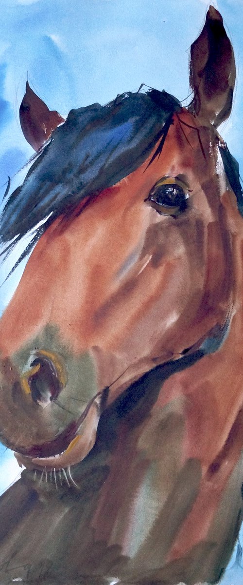 Brown horse by Yuliia Pastukhova