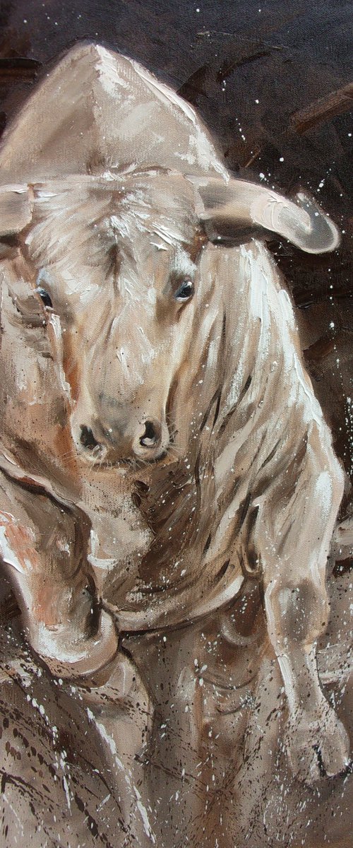 " ATTACK " -  BULL original oil painting on canvas, gift,  PALETTE KNIFE TORRO HOSSA by Monika Luniak