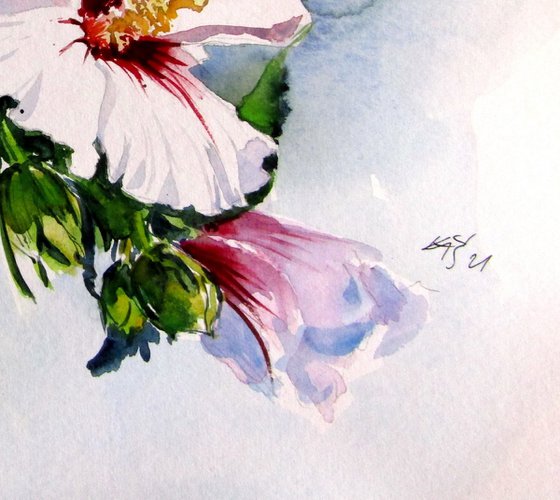 Mallow