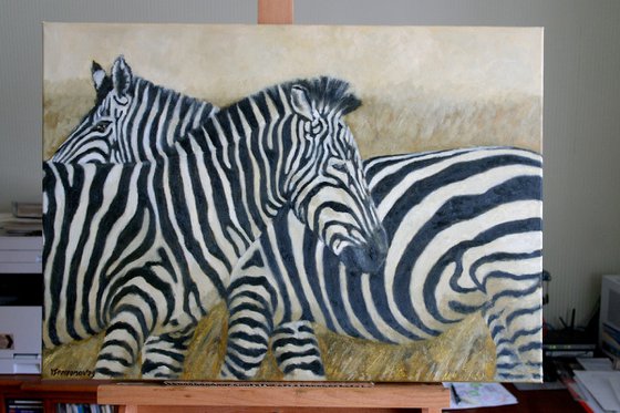 Zebras