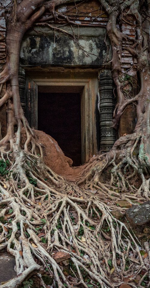 Angkor Series No.8 by Serge Horta