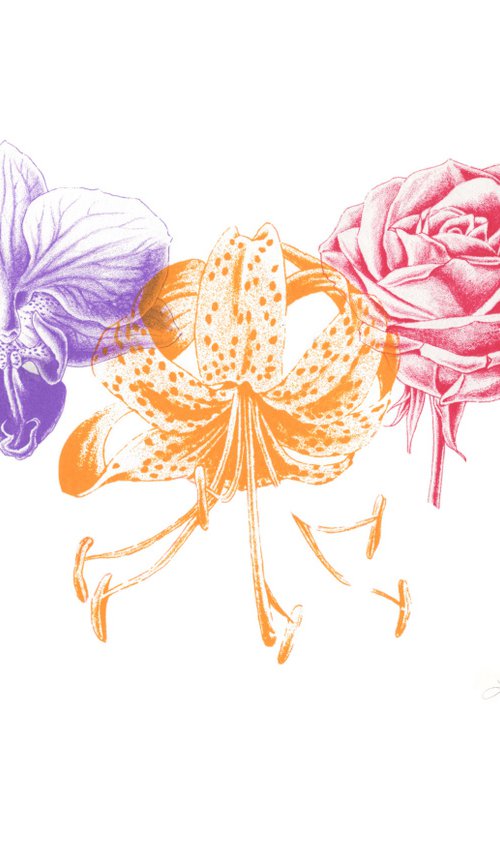 Orchid, Lily & Rose by Louise Boulton