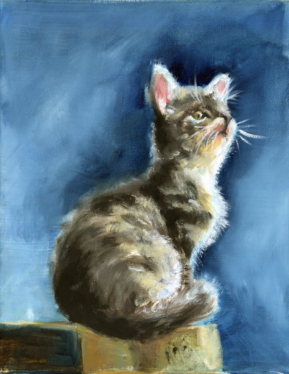 The Kitten Oil painting by Olga Tchefranov (Shefranov) | Artfinder