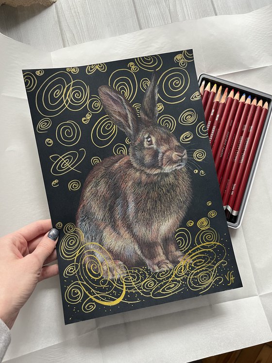 Brown rabbit