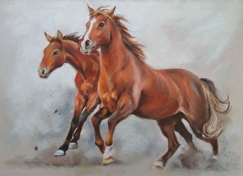 Running horses by Magdalena Palega