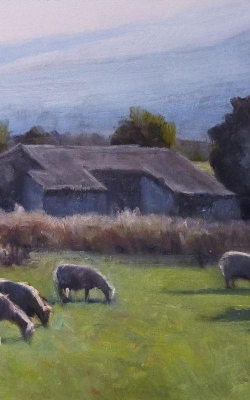 Flock of sheep to Salignac. by Pascal Giroud