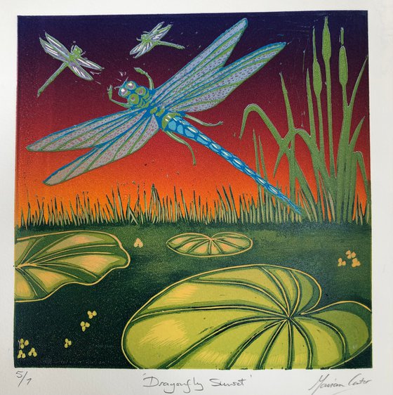 Dragonfly Sunset