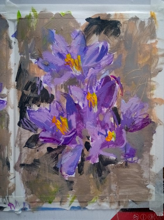 Crocuses #1