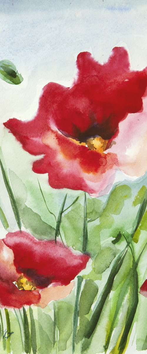 Summer corn poppy by VALDA ROSE ART GALLERY