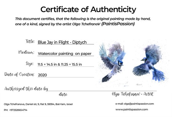 Blue Jay in Flight - Diptych