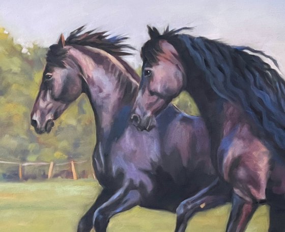 Evening Gallop