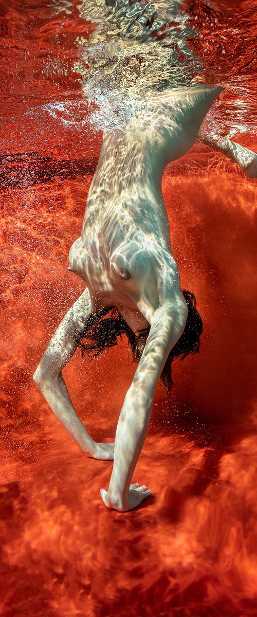 Blood and Milk VIII - underwater nude photograph - archival pigment print 35x26" by Alex Sher
