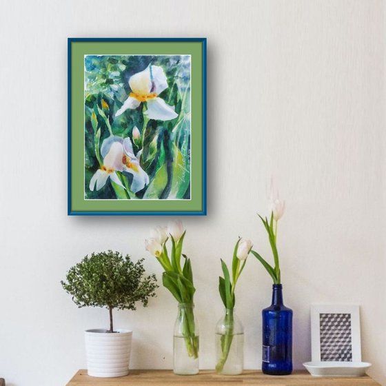 White Iris in Garden Loose Impressionistic Watercolor Painting