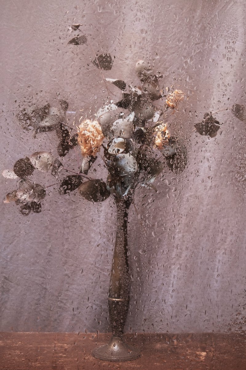 Impressionistic Botanical Photograph By Sandra Platas Hernandez, 17 X 23", Abril, Original Artwork