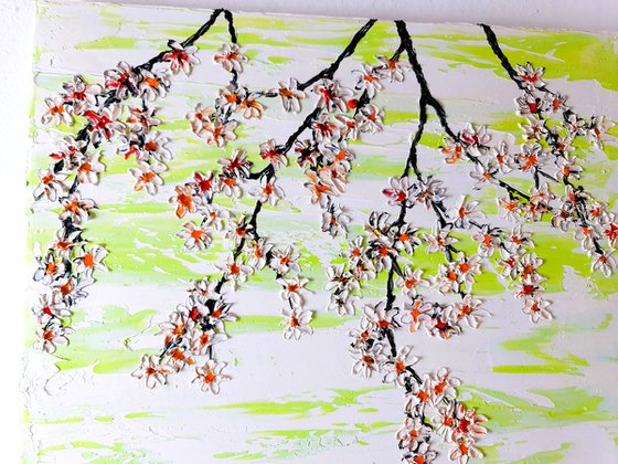 Cherries in the spring 2