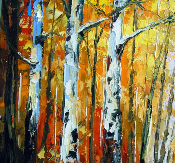 Birch Forest. First Snow