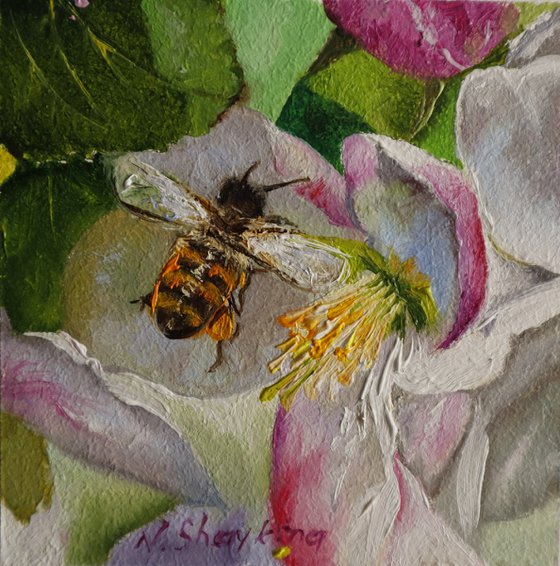 Bee on Pink Blossom