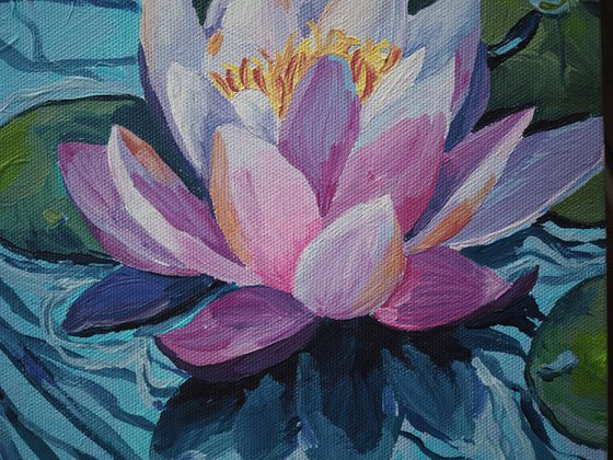 Lotus flower