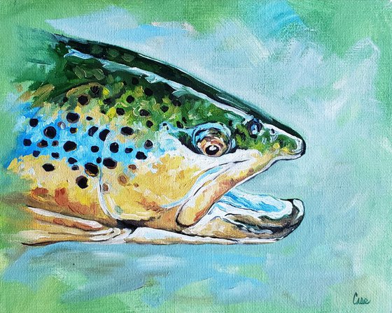 Wildlife - Trout Study