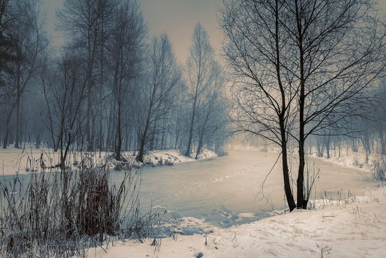 Near the frozen lake.