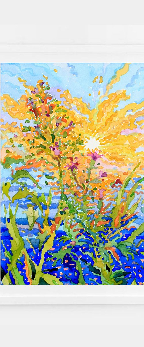 Lake sunset and summer herbs by Tanbelia
