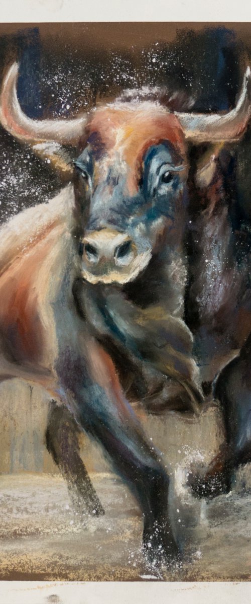 The bull (self confidence) by Olga Tchefranov (Shefranov)