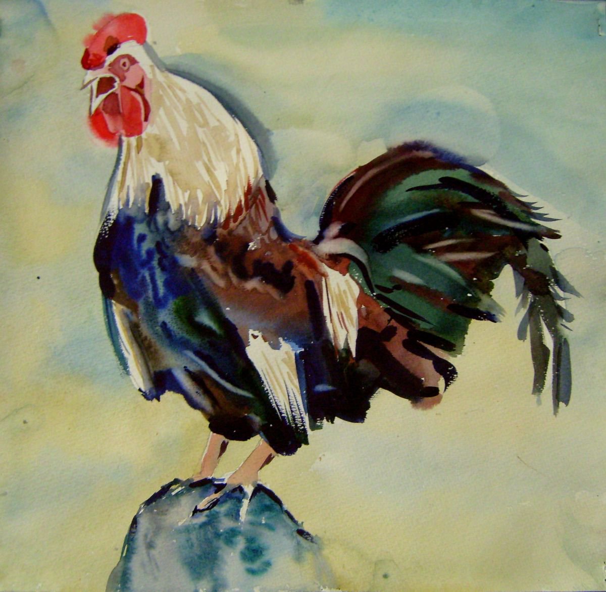 Cock, watercolor painting 38x36 cm, gift art! by Valentina Kachina