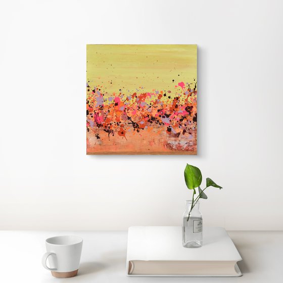 Sunkist Coral 3