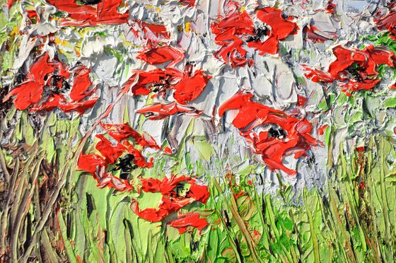 A Meadow Full Of Poppies
