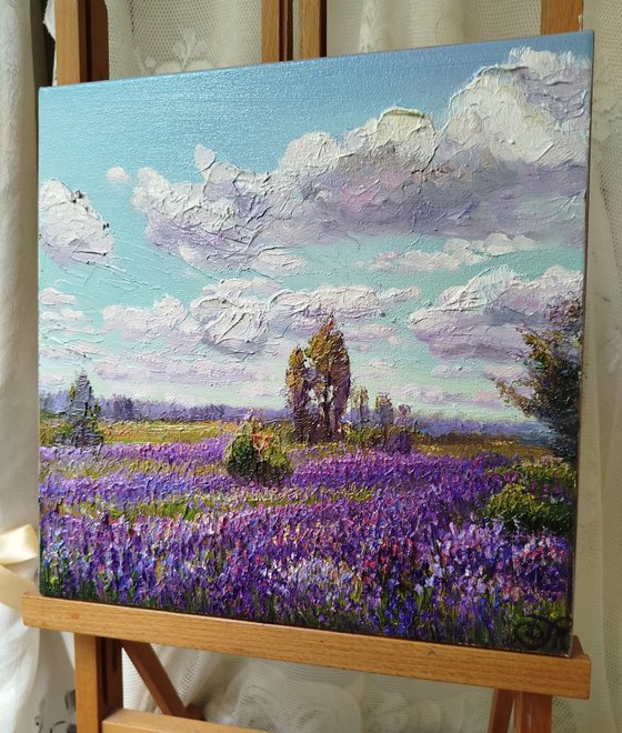 Summer landscape with lupines