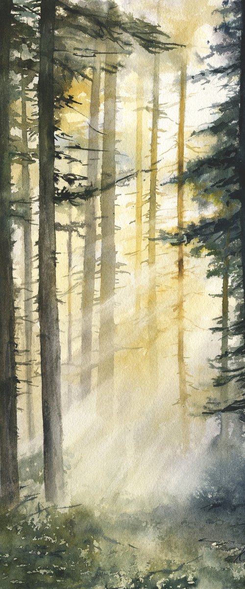Forest Rays by Tetiana Koda