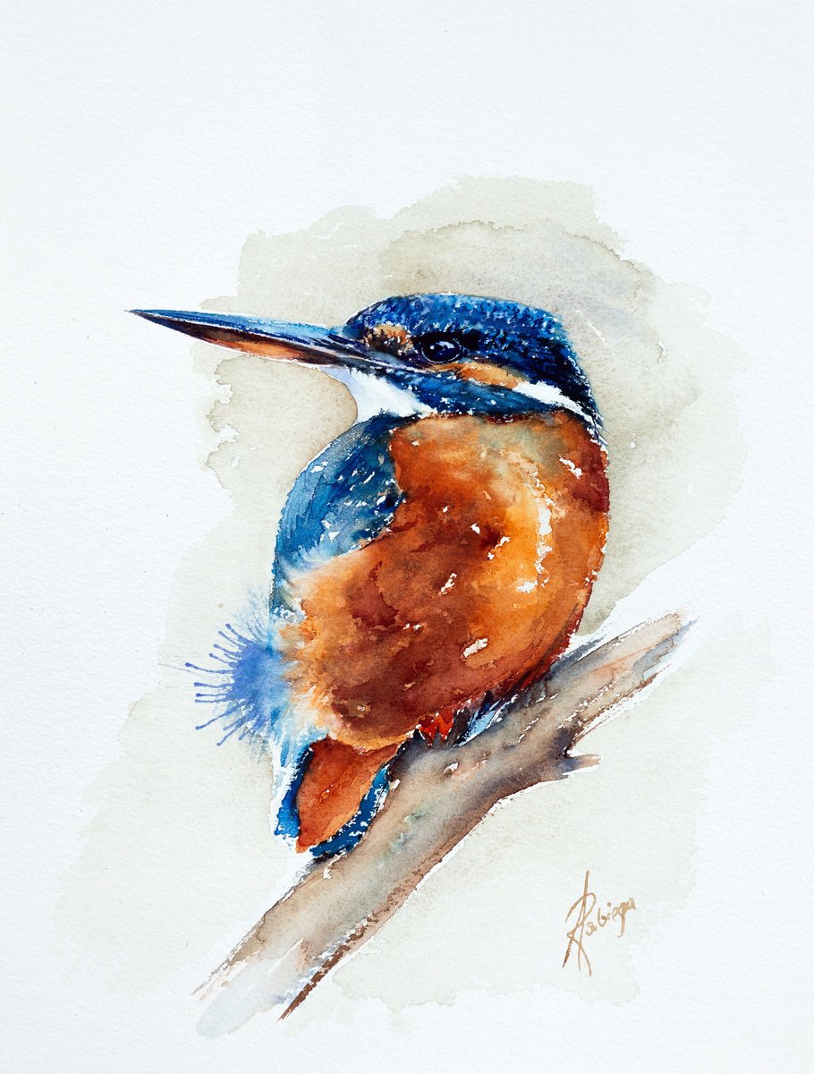 Animal Watercolour By Andrzej Rabiega, 9 X 12, Kingfisher, Original Artwork