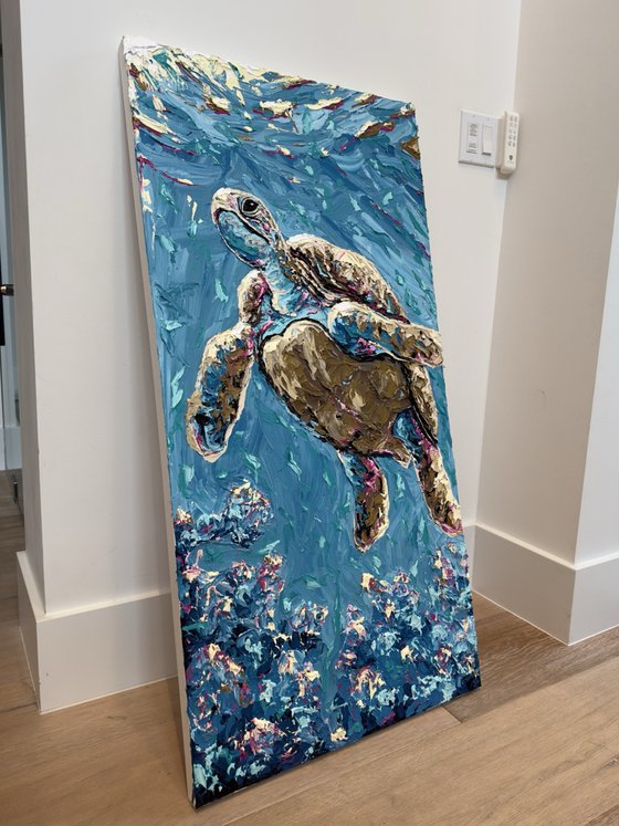 Lovely Turtle
