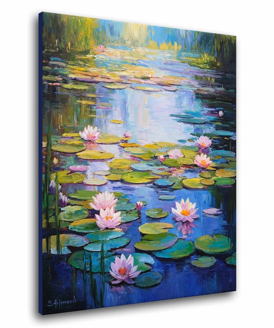 Morning Water Lily Pond