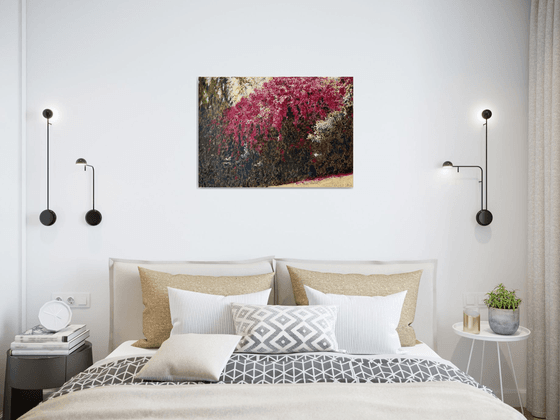 Bougainvillea