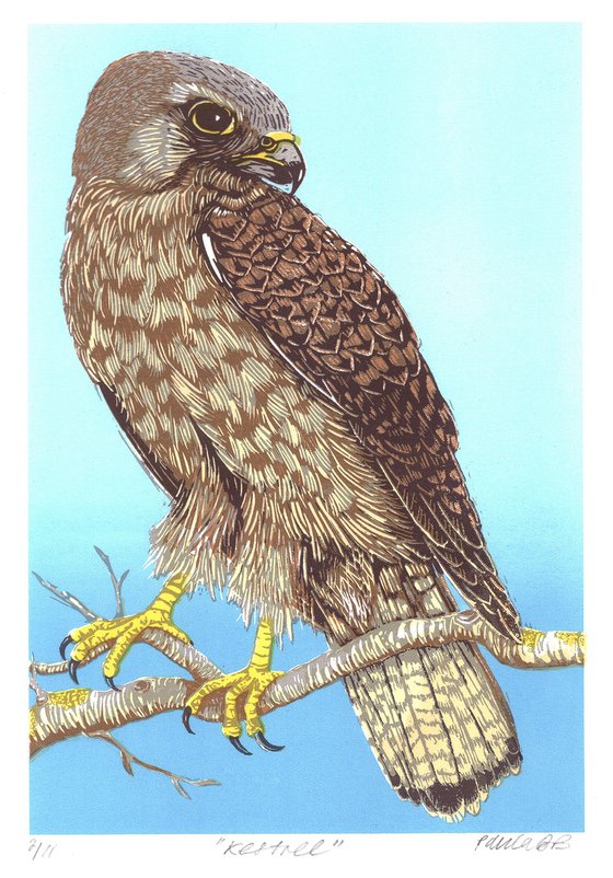 Kestrel