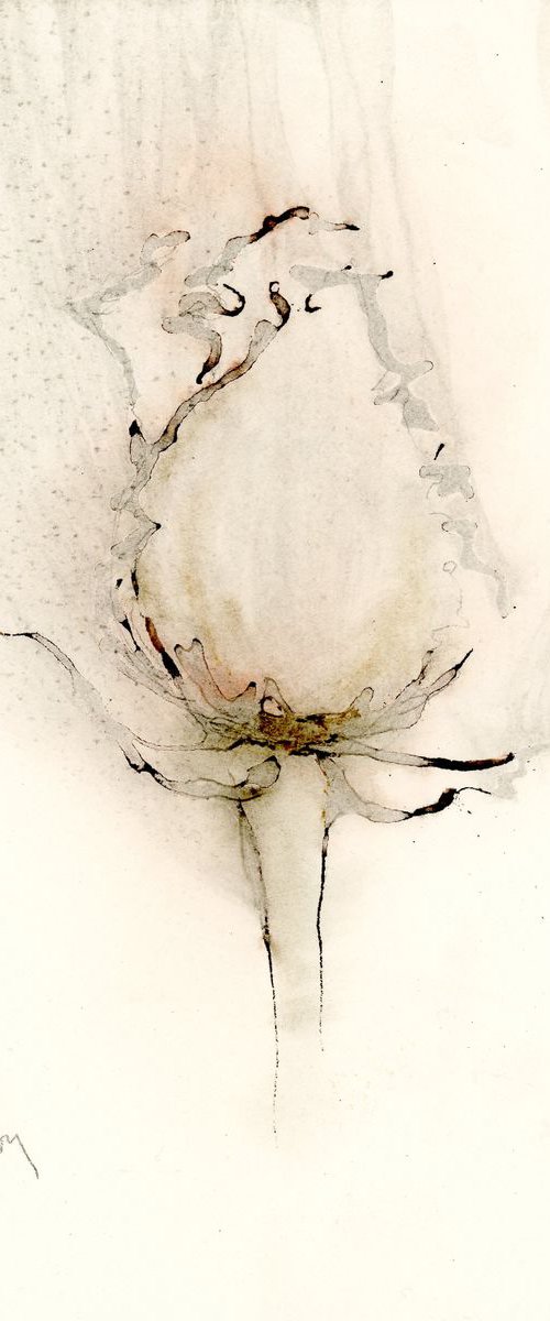 Rose in Brown Ink by Alex Tolstoy