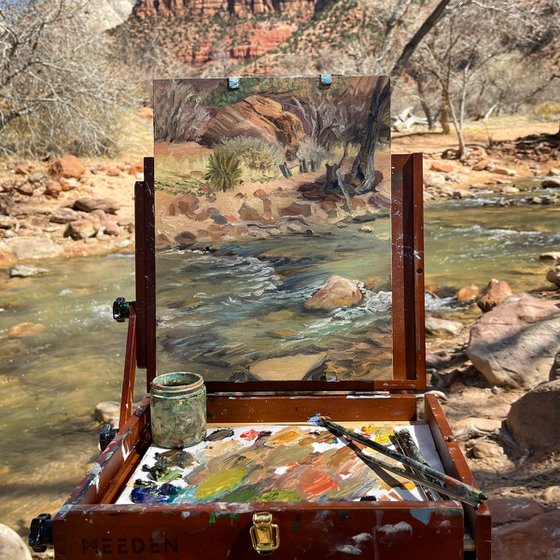 Virgin River in Zion Canyon