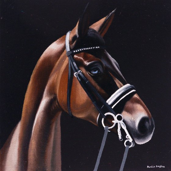 Horse Portrait 2