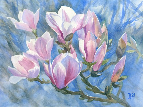 Magnolias Original Watercolor Flower art Floral blue pink sunlight gift for her by Julia Logunova