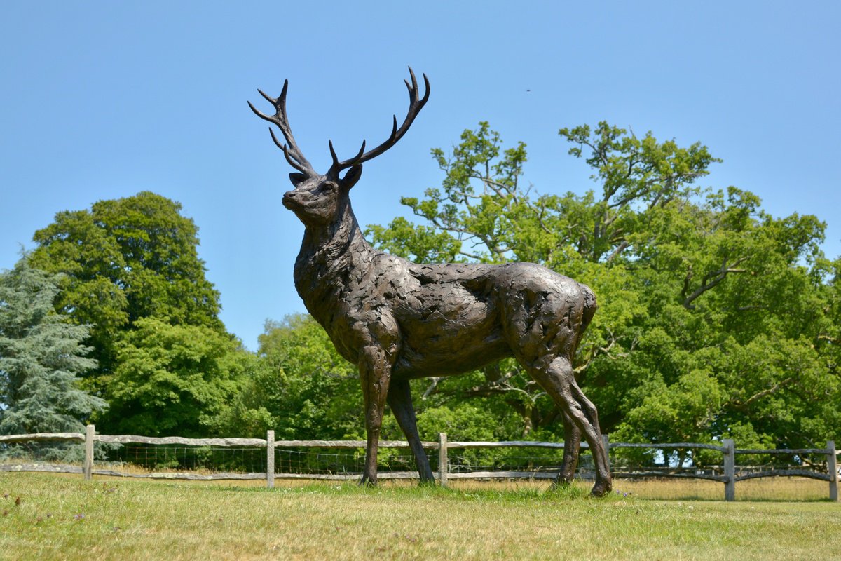 Standing Red Deer Stag - Bronze Resin by Tanya Russell