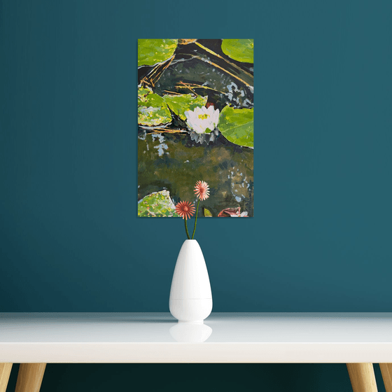Waterlilies